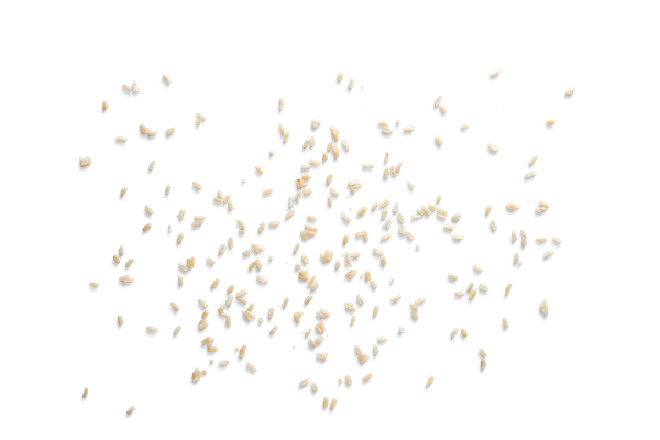 shape-1